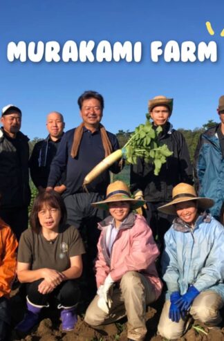 おまかせセット