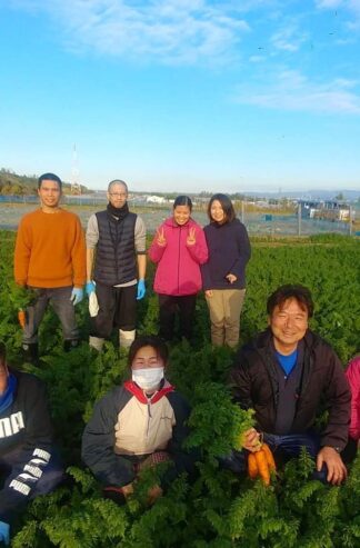 こだわりセット